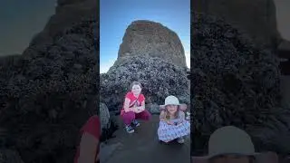 The best tidepooling in the country is at this FAMOUS place! #tidepools