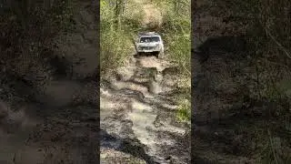 #automobile #offroad #pajerosport #карпати #бездоріжжя #4x4 #travel #нива #джиперы #auto