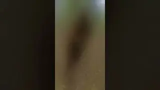 Cryptid caught on trail cam! 😟 #Cryptid #TrailCam #Humanoid #Alien #Creature #Creepy #Scary 👉 #Ai 👈
