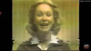 LeeWards Homecraft Center Tampa 1982 Commercial