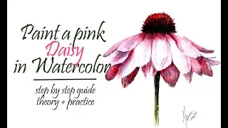 Learn to paint a pink daisy in watercolor