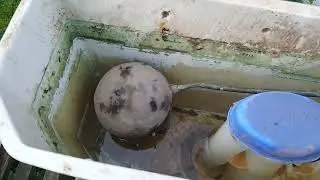 1954 Low Level Shanks 9213 Clear Earthenware Cistern, Before Restoration