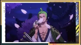 Zoro's Cards: Ranked by How Often They Get Lost (S-Tier is Confused)