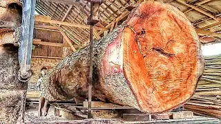 Extreme Sawmill Work: Large-Scale Timber Processing 🌲🪵