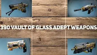 VOG Adept Weapons Review