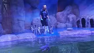 FamiliEL ke BXSea! Kita Lihat Keseruan Penguin Beraksi!