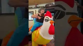 Fiddler Barbara Lamb on a chicken