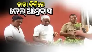 Man sells tree saplings after getting out of jail || ONA KHABAR ||