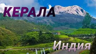 Обзор всего города КЕРАЛА в одном видео | ИНДИЯ | Kerala full review