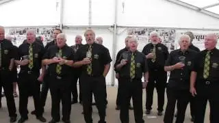 Newquay Fish Festival - Trelawny