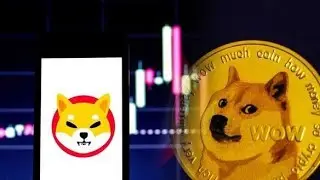 How you can earn Shiba inu coin fast?#shibainu #cryptocurrency