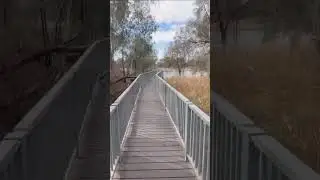 Exploring Australia's Stunning Red Cliffs Boardwalk and Murray River