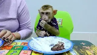 PAQUI Easy To Feed, He Eat Everything Like Real Human Kid.