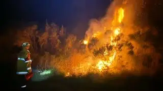 Bushfire breaks out on Qld's Sunshine Coast