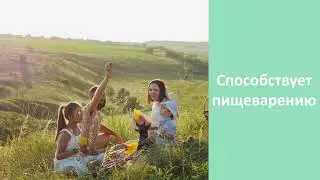 Gentle Move - новый продукт 