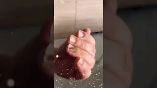 Green planthopper on My Sister&rsquo;s Hand 🐞✨