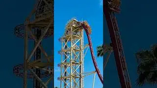 The Roller Coaster Legacy of Disney Magic