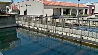 Algae Bloom Blamed for Smelly Drinking Water in Tri-Valley Area