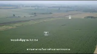 เล่นของใหม่ ต้องไว้ใจตัวจริง ! DJI AGRAS T70P ตัวจบของสายรับจ้าง