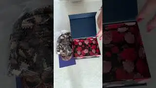 ASMR Puzzle Unboxing #shorts