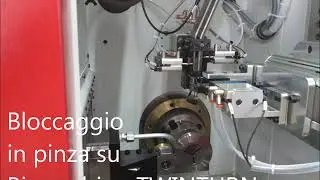 bloccaggi in pinza Fasturn Twinturn