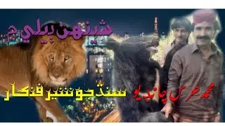 Shenh bele men urs chadio best song