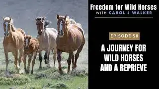 58. A Journey for Wild Horses and a Reprieve