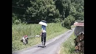 斜面刈り(2025.6.29)Slope mowing