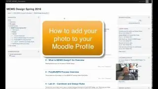 How to Update Moodle Profile Photo