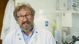 Brain Tumour research overview | Animal Free Research UK | 1