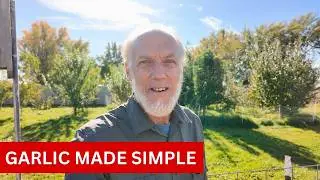 Planting Garlic the Way We Do It (Simple + Effective)