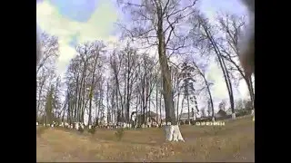 Тест-RROSD PRO MINI PDB