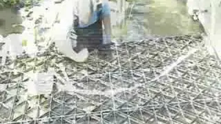 Safapond Pond Safety Grid