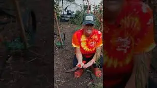 Multi-purpose tools are the best!