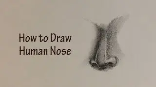 How to Draw Human Nose || The Artist Pad