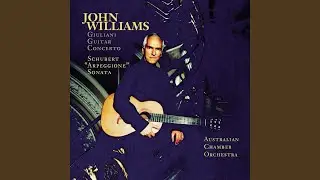 Arpeggione Sonata in A Minor, D. 821 (Arr. J. Williams for Guitar and Orchestra) : I. Allegro...