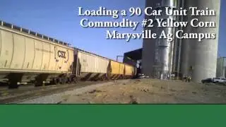 Loading a 90 Car Unit Train at Marysville Ag Campus