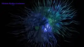 A Frequ&ecirc;ncia Hertz Gl&acirc;ndula Hip&oacute;fise Estimula(❁&acute;◡`❁)Crescimento Horm&ocirc;nio Prolactina Regula