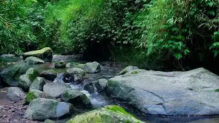 Tranquil River Ambiance for Relax and Restful Day | sleep - relax - enjoy life - ASMR