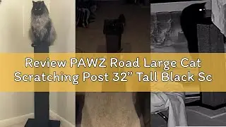 Review PAWZ Road Large Cat Scratching Post 32” Tall Black Scratching Post for Indoor Cats Adults Ult