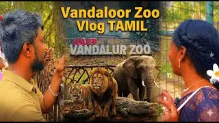 Inside Vandalur Zoo 🦁🐅🐊 | A Cinematic Wildlife Experience | Tamil Vlog