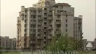 Noida Fortis Hospital, Uttar Pradesh