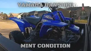Buying ✨RARE✨ Like NEW Yamaha Banshee! Low Low Hours!