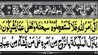 Tilawat-e-Quran Surah Nahl &ndash; The Chapter of the Bee