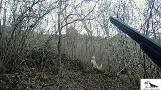 lances de becadas con c&aacute;mara lenta
