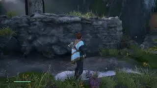 Jedi fallen order