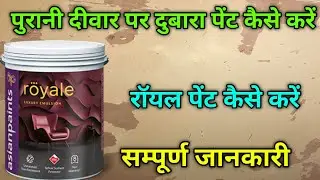 How To Repaint Old Wall | paint your house in budget step by step | Asian Royal Luxury paints