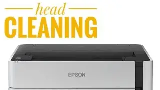 Epson m1170  head cleaning  process