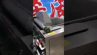 Automatic Chicken Scalder and Plucker