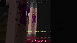 We Be Flyin&rsquo; #bedwars #minecraft #shorts #flying #combo #hypixel